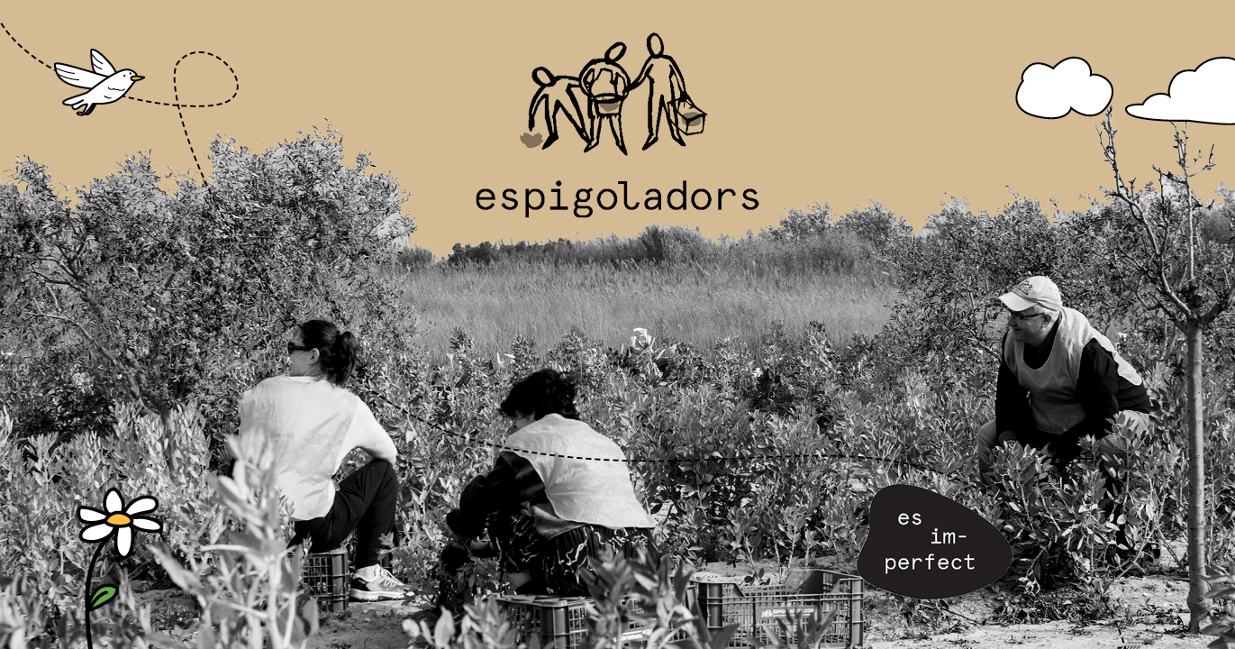 Fundació Espigoladors: “Desenvolupar un entorn digital a mida ens permet mesurar  l’impacte de la nostra activitat”
